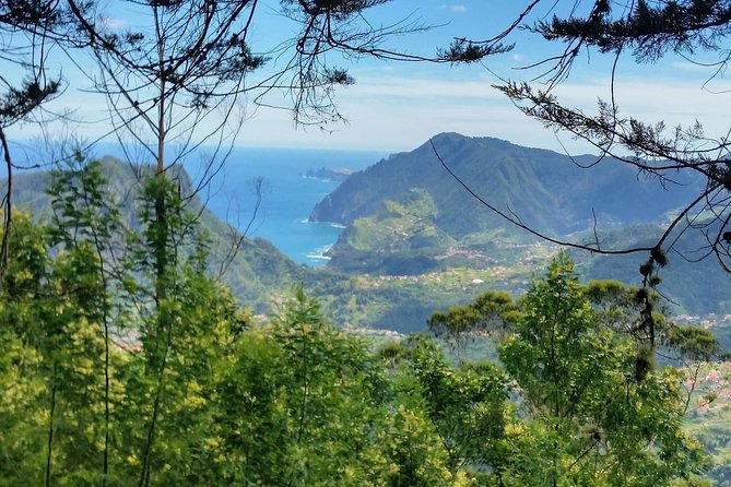 Private Full Day Off-Road Tour in Madeira - What your guide adds to the day