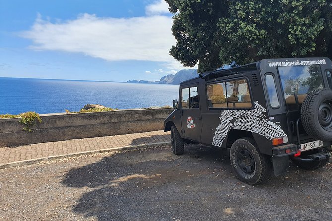 Private Full Day Off-Road Tour in Madeira - Who should book this Madeira tour