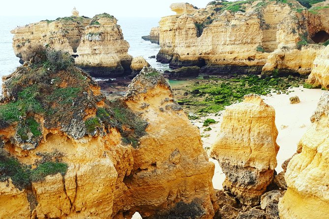 Private Guided Tuk-Tuk Tour with Pick-Up and Drop-Off of Albufeira - What the private format really gives you