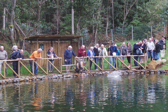 Private Half-Day 4X4 Experience: East or West - Why Porto Moniz causes confusion