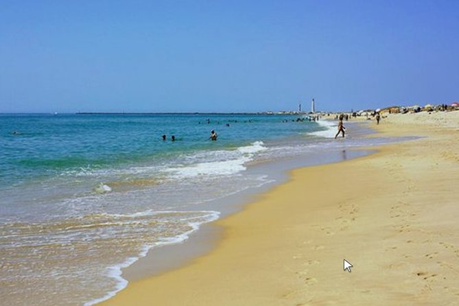 Private Half-Day Boat Tour in Ria Formosa from Faro - Who Should Book This Boat Tour?
