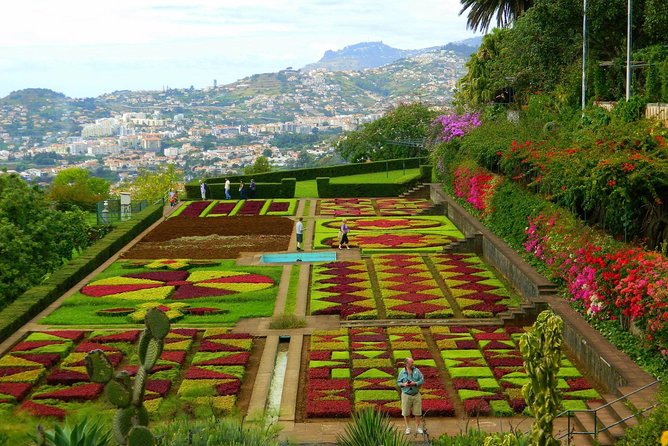 Private Half day tour around Madeira Island - Why this short Madeira tour works