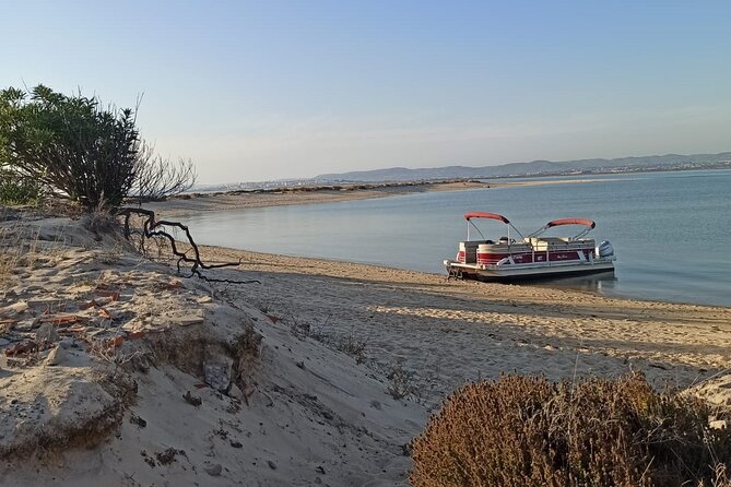 Private Ria Formosa Natural Park Boat Cruise from Faro - What the private format is really worth