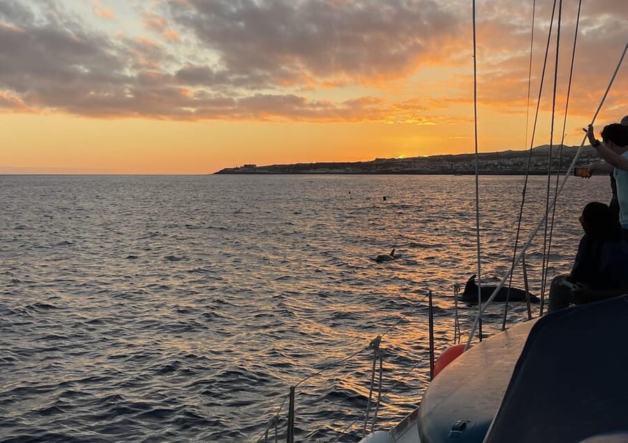 Private Sailing Sunset Tour PDL - Is $212 good value for a private sunset cruise?