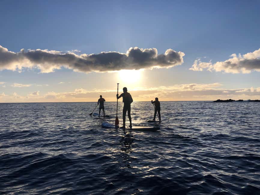 Private Sailing Sunset Tour PDL - Should you book the São Miguel sunset sailing tour?
