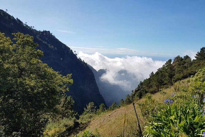 Private Tour Nun's Valley Halfday - Should you add the Portuguese lunch?