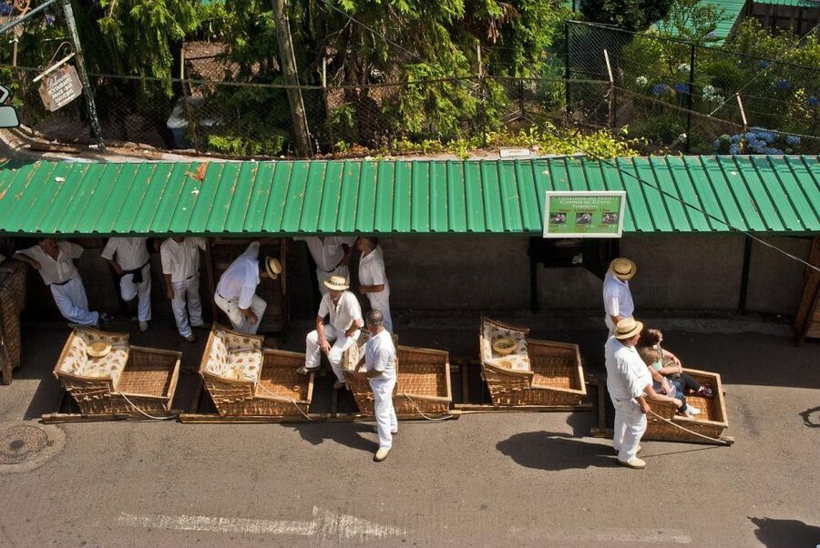 Private tour:Tuk Tuk Ride to Monte Funchal Toboggans - Guides make the difference