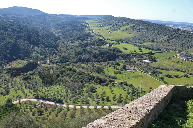 Private Wine Tasting in the Setúbal Wine Region, from Lisbon - Why Setúbal makes a fine wine day from Lisbon