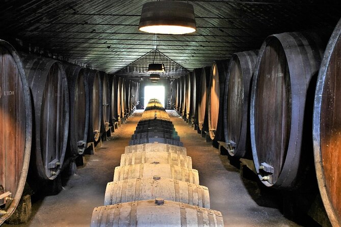 Private Wine Tasting in the Setúbal Wine Region, from Lisbon - Starting with hotel pickup and a private drive