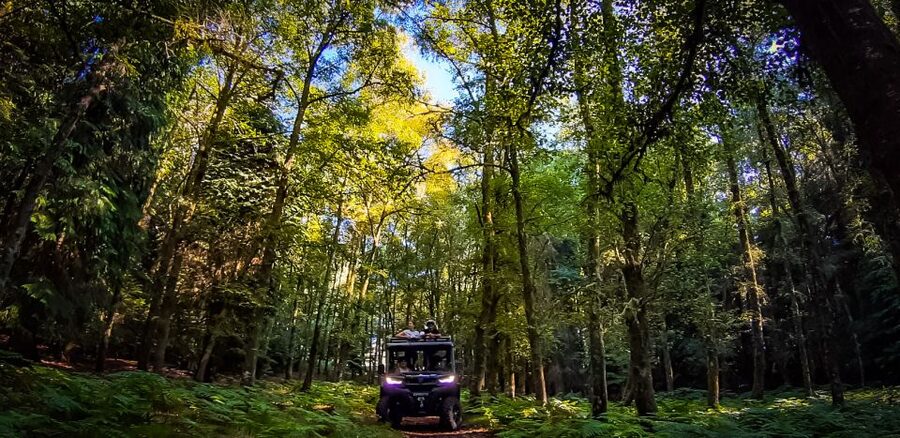 Prozelo: Buggy Tour - Should you book the Prozelo buggy tour?
