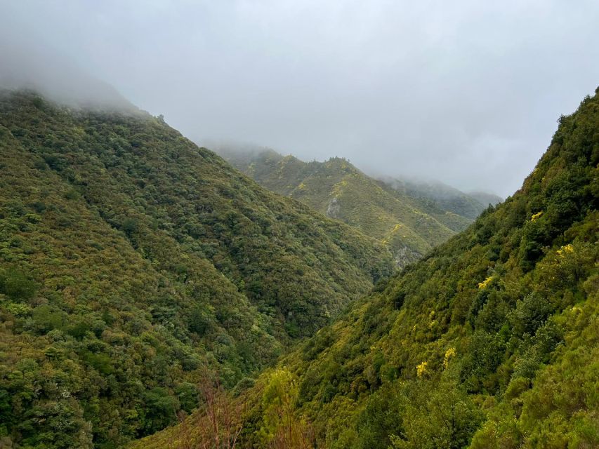 Rabaçal: 25 Fontes & Risco Levada Transfer Self-guided Hike - Why the early start makes such a difference