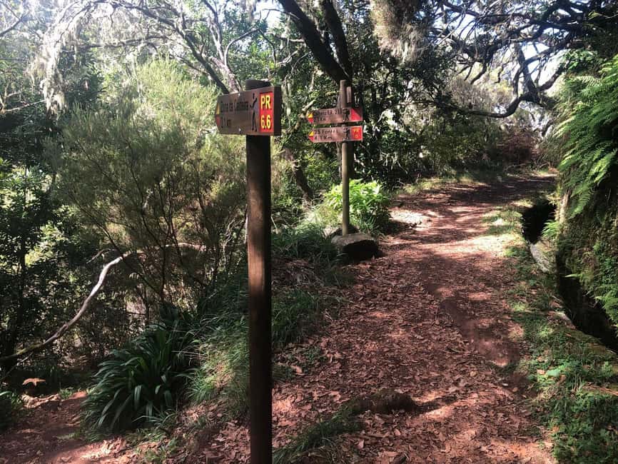 Rabaçal: 25 Fontes & Risco Levada Transfer Self-guided Hike - PR6.1 and why Risco deserves equal billing