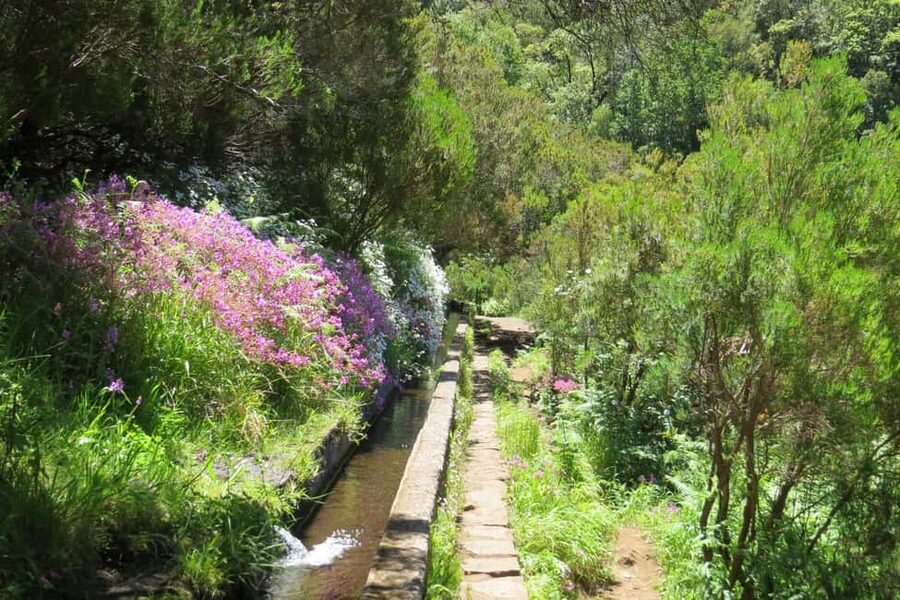 Rabaçal: 25 Fontes & Risco Levada Transfer Self-guided Hike - Can you add PR6.2 or PR6.3?