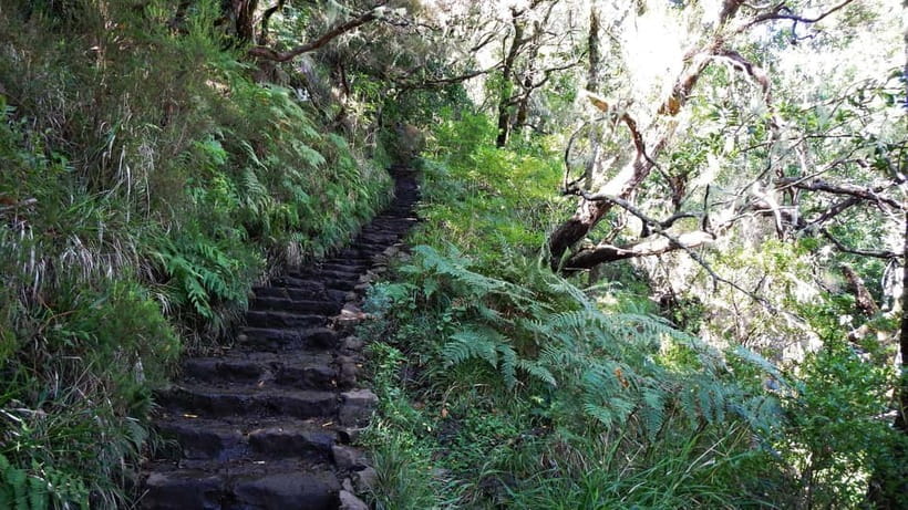 Rabaçal: 25 Fontes & Risco Levada Transfer Self-guided Hike - The shared van from Funchal to Rabaçal