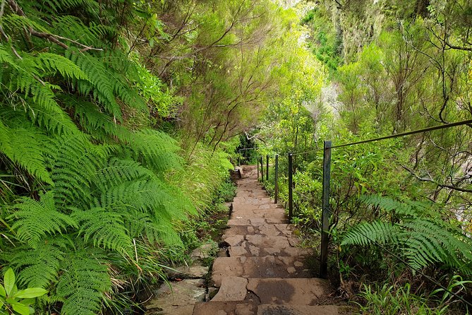 Rabaçal - 25 Fonts - Following the Levada do Rabaçal into Madeira’s wet forest
