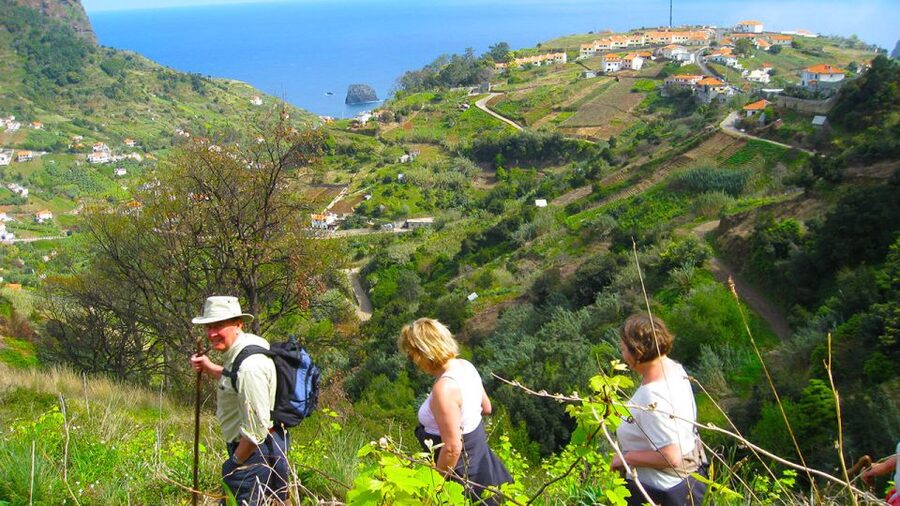 Referta / Castelejo - Levada Walk - The old mill and the final café stop