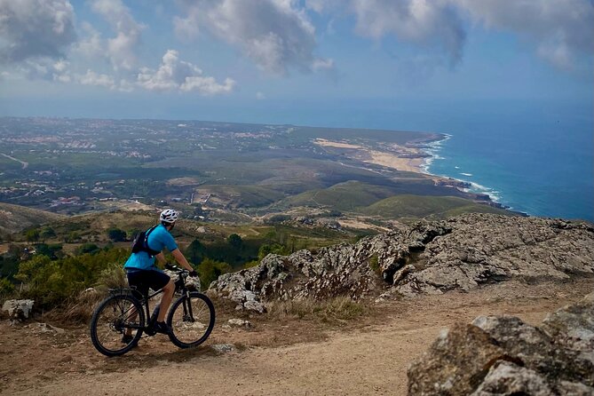 Relaxed E-bike in the backroads of Cascais and Sintra - From Cascais Market to farms and forest