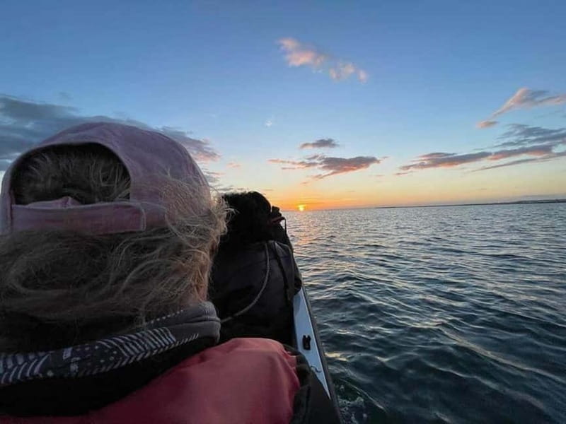 Ria Formosa: Armona and Culatra Islands 3-Hour Boat Tour - What the $34 price really covers