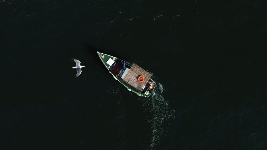 Ria Formosa: Armona and Culatra Islands 3-Hour Boat Tour - Who will enjoy this three-hour cruise