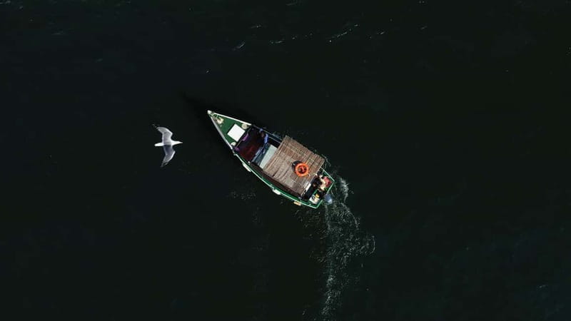 Ria Formosa: Armona and Culatra Islands 3-Hour Boat Tour - Practical details before you book
