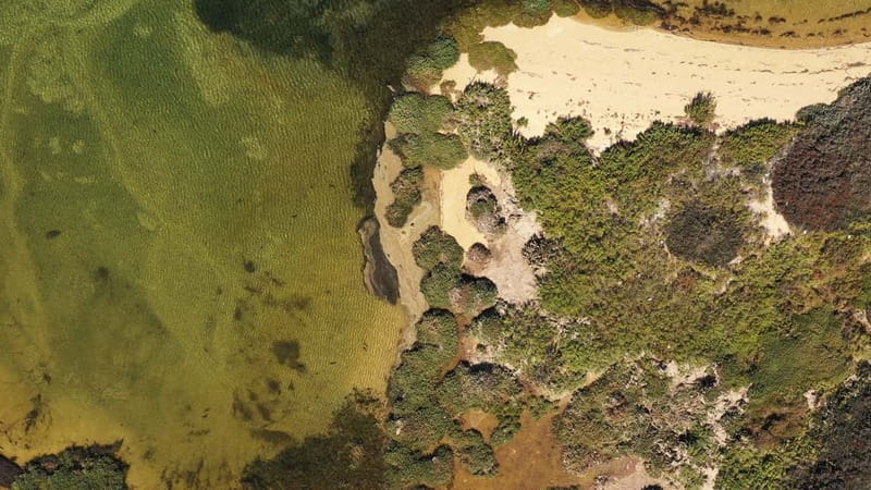 Ria Formosa: Armona and Culatra Islands 3-Hour Boat Tour - Culatra Island, a real community without cars