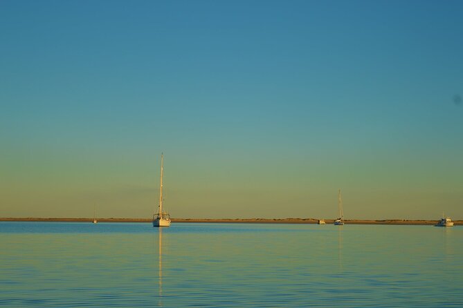 Ria Formosa & Ilhas: Sunset Boat Trip - A captain who adds life to the trip