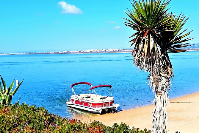 Ria Formosa Natural Park and Islands Boat Cruise from Faro - Why the afternoon departure may be worth choosing
