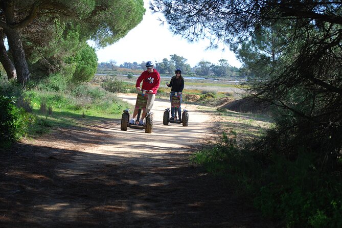Ria Formosa Natural Park Birdwatching Segway Tour from Faro - Ria Formosa begins with marshes and tidal water