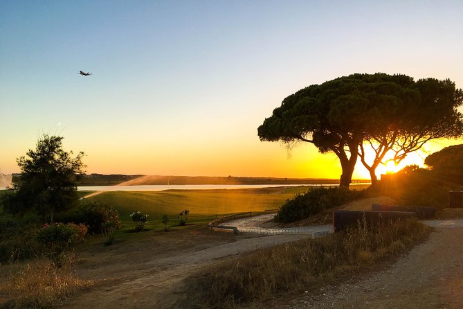 Ria Formosa Natural Park Birdwatching Segway Tour from Faro - Salt flats, golf courses, and Quinta do Lago villas