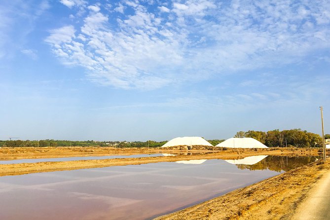Ria Formosa Natural Park Birdwatching Segway Tour from Faro - How hard is the Segway riding?