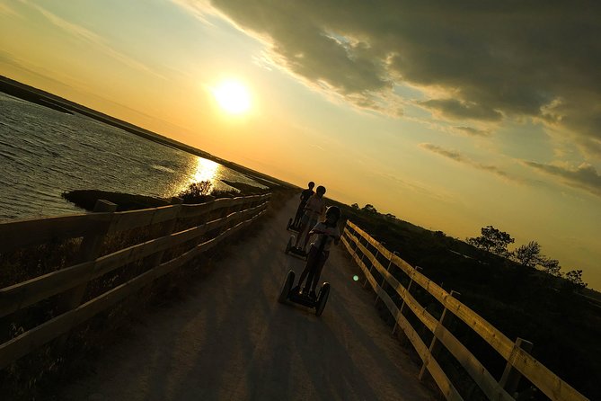 Ria Formosa Natural Park Birdwatching Segway Tour from Faro - Is the $70.17 price good value?