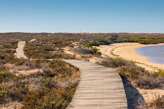Ria Formosa: Private Boat Rental (from 2 to 8 hours) - What is included, and what you need to request