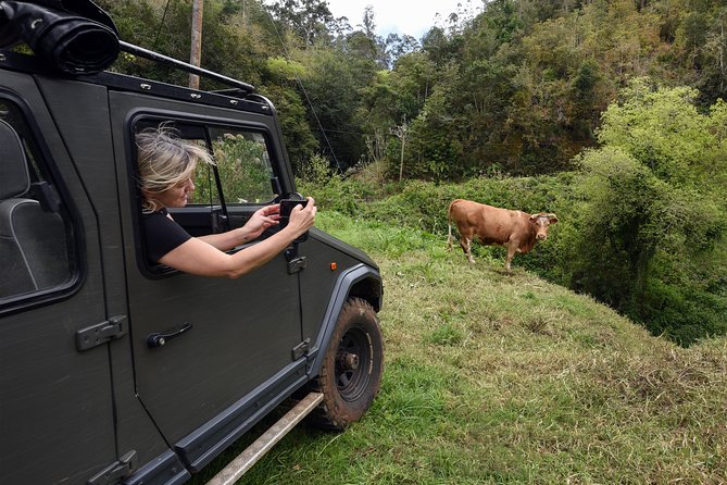 Safari 4x4 Pico Arieiro Santana in Small Group "FlowerEAST" - Lunch, poncha, and local flavor