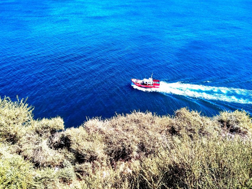 Sagres & Cape St. Vincent Half-Day Tour from Lagos - Should you book the Sagres and Cape St. Vincent tour?