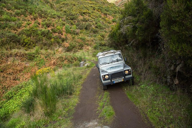 SANTANA Combo Expedition (Jeep & Levada Walk) - Shared Tour - Why This Madeira Tour Works as a First-Day Overview