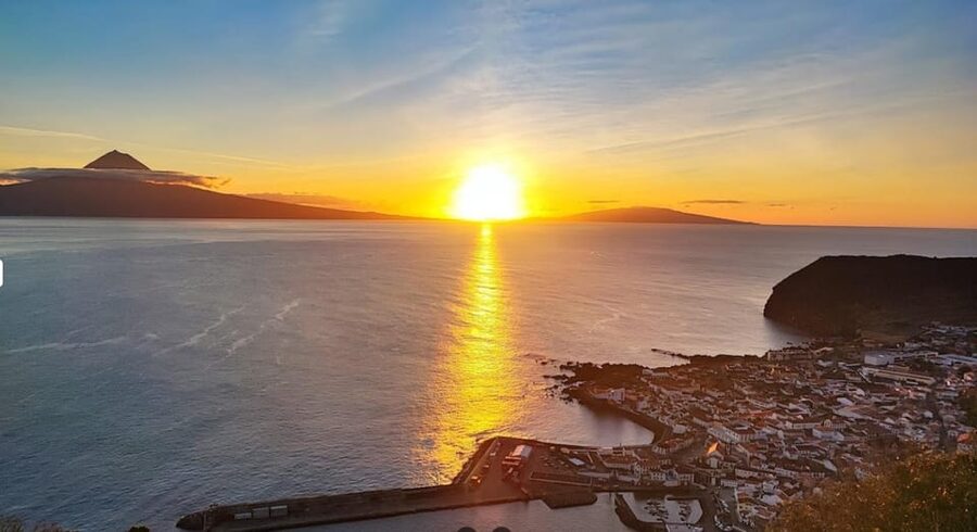 São Jorge: Island, Forest Reserve & Fajãs Guided Tour - Why this São Jorge tour works so well in one day