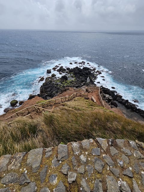 São Jorge: Island, Forest Reserve & Fajãs Guided Tour - Sete Fontes brings you into São Jorge’s green interior