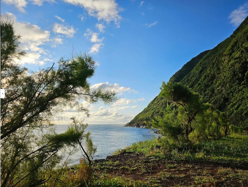 São Jorge: Island, Forest Reserve & Fajãs Guided Tour - The northern viewpoints show why the fajãs matter