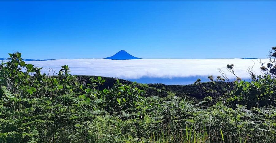 São Jorge: Island, Forest Reserve & Fajãs Guided Tour - Lunch in Calheta is flexible, but you pay your own way