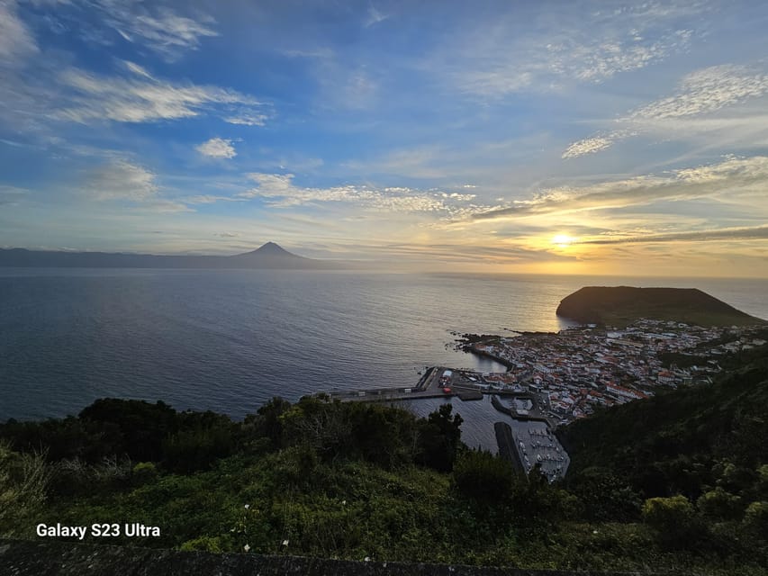 São Jorge: Island, Forest Reserve & Fajãs Guided Tour - Europe’s first complete coffee plantation adds a rare surprise