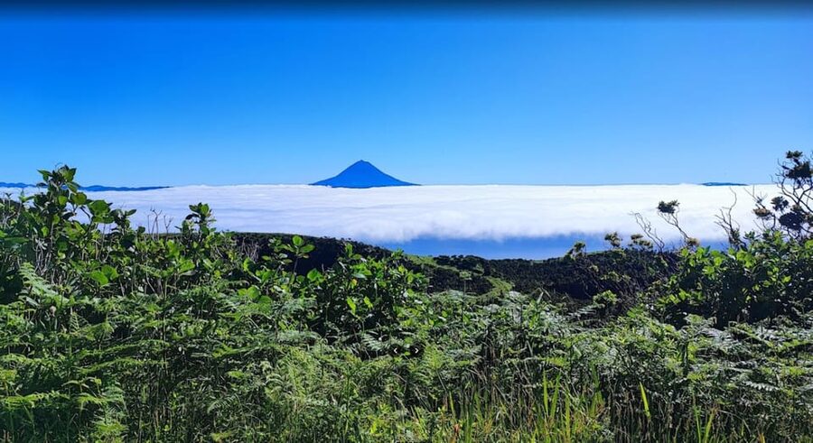 São Jorge: Island, Forest Reserve & Fajãs Guided Tour - Beira cheese puts a local flavor on the morning