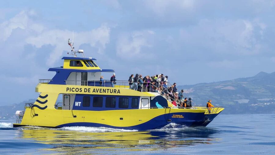 São Miguel Azores: Half-Day Whale Watching Trip - How the lookout system improves your odds
