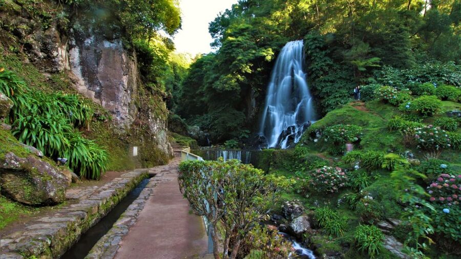 São Miguel East: Full-Day Van Tour with Lunch - Choose between Furnas hot springs and town geothermal features