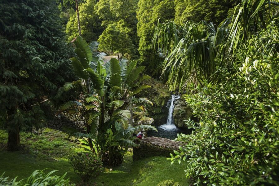 São Miguel East: Full-Day Van Tour with Lunch - Is $85 a fair price?