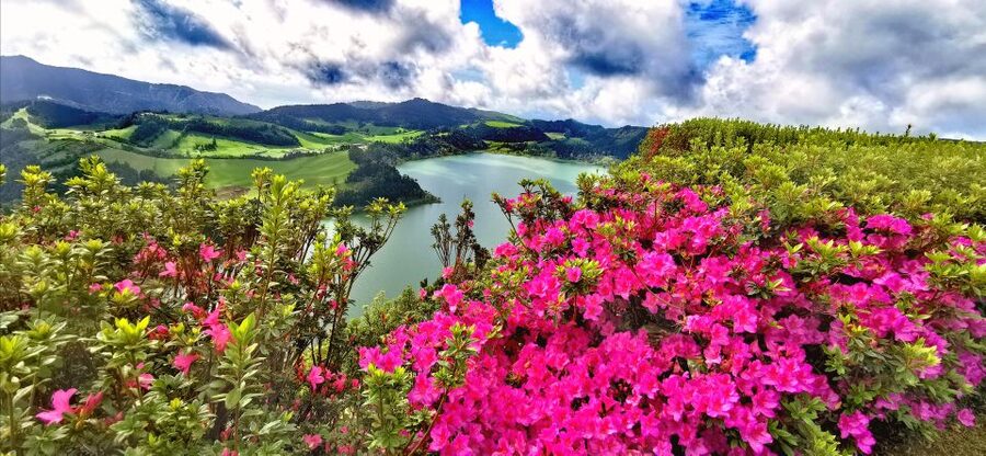 São Miguel: Furnas and Nordeste Full-Day Tour with Lunch - Furnas Lake and the six-hour underground stew