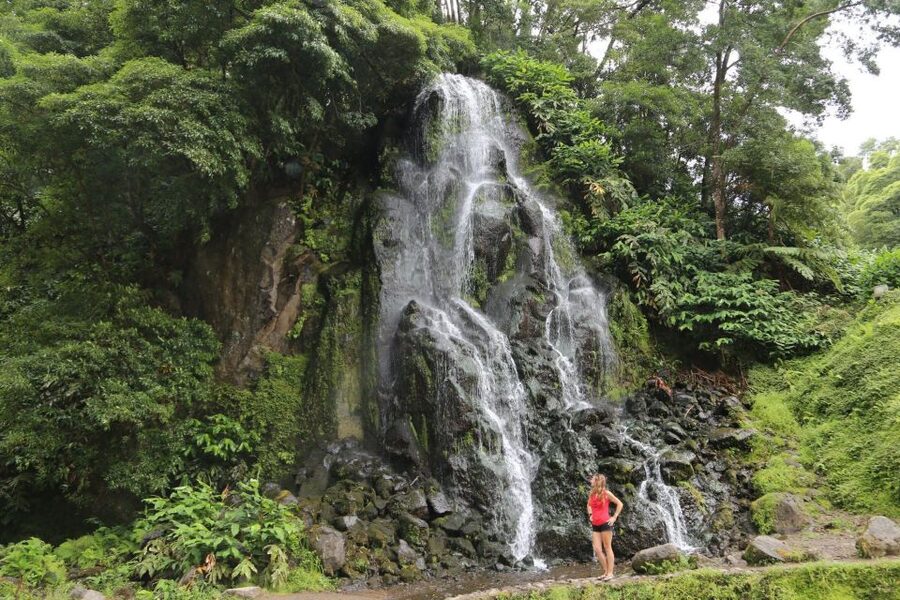 São Miguel: Furnas and Nordeste Full-Day Tour with Lunch - Lunch in Furnas: a real Azorean centerpiece