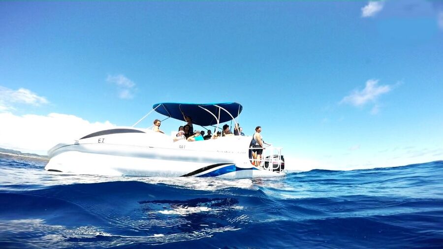 São Miguel: Glass Bottom Boat Tour with Snorkeling - Key points at a glance