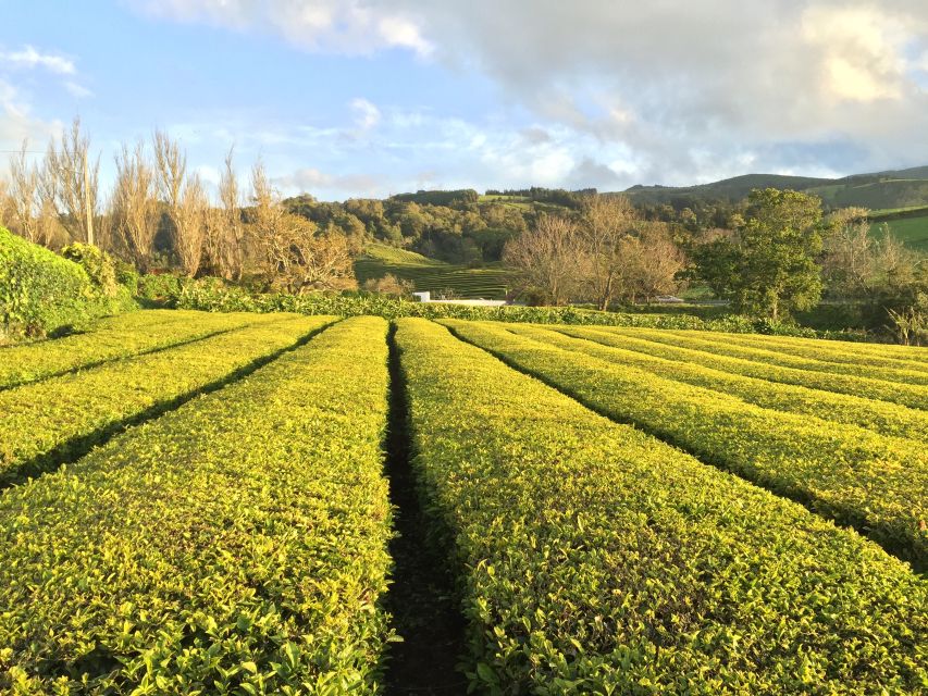 São Miguel Island: Full Day All-in-One Tour - Why this route works for a short stay