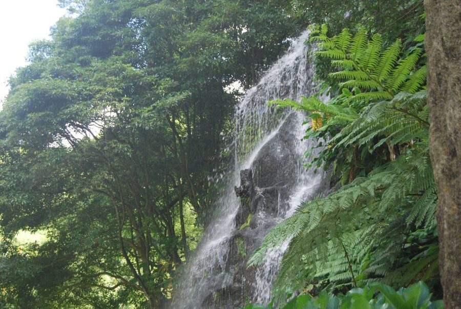 São Miguel: Nordeste, Cliffs & Waterfall Day Trip with Lunch - Key reasons to consider this Nordeste tour
