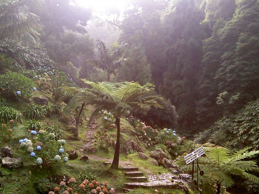 São Miguel: Nordeste, Cliffs & Waterfall Day Trip with Lunch - Salto da Farinha and the first waterfall walk